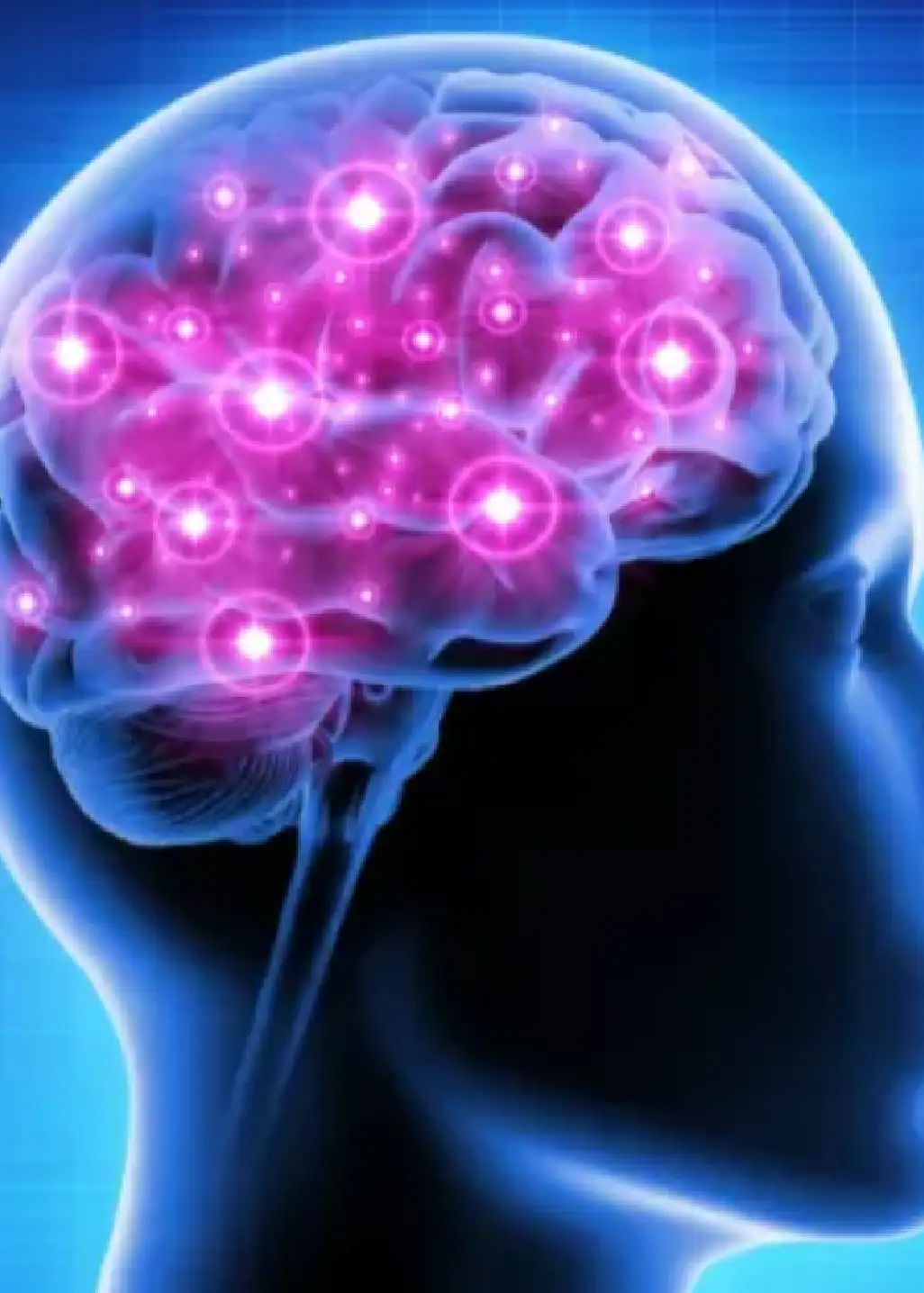 A conceptual illustration of a human brain with highlighted areas of activity