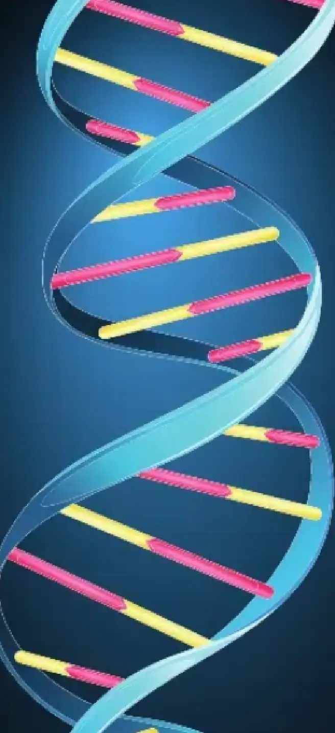 ezgif.com webp to png